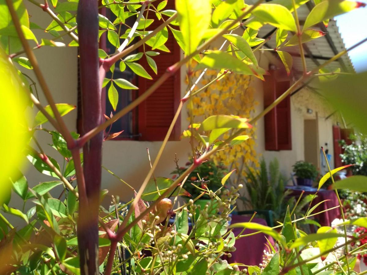 Vatopédhion Maison Des Amis מראה חיצוני תמונה